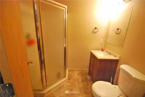 29118 9th Ave E, Roy, WA 98580 photo 19