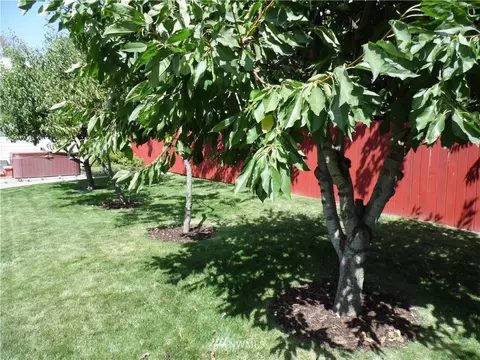 720 Elm St, Othello, WA 99344 photo 20