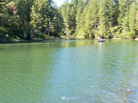 111 E Orchard Beach Dr, Grapeview, WA 98546 photo 20