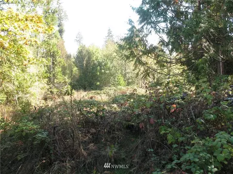 342 E Orchid Ln, Grapeview, WA 98584 photo 5