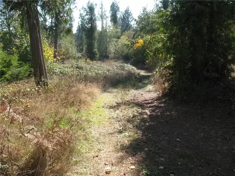 342 E Orchid Ln, Grapeview, WA 98584 photo 4