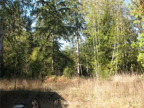342 E Orchid Ln, Grapeview, WA 98584 photo 3
