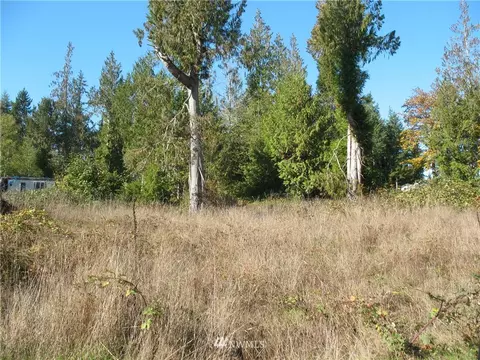 342 E Orchid Ln, Grapeview, WA 98584 photo 9