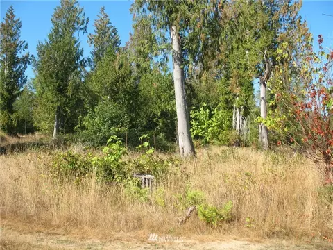342 E Orchid Ln, Grapeview, WA 98584 photo 1