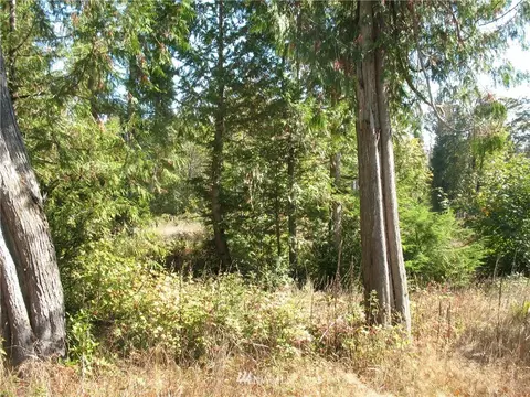 342 E Orchid Ln, Grapeview, WA 98584 photo 2