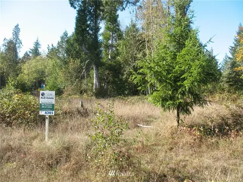 342 E Orchid Ln, Grapeview, WA 98584 photo 8