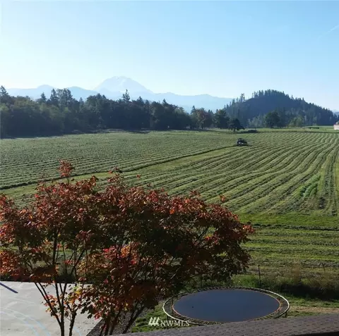 27341 SE 403rd St, Enumclaw, WA 98022 photo 24