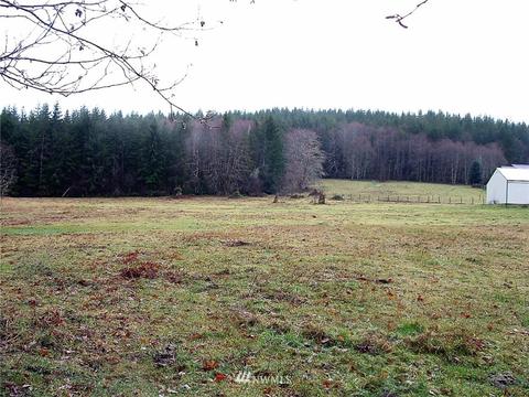 73 Raspberry Rd, Elma, WA 98541 photo 21