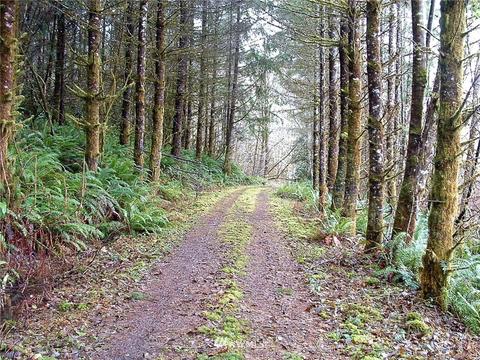 73 Raspberry Rd, Elma, WA 98541 photo 19