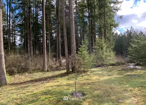 4210 245th St E, Spanaway, WA 98387 photo 9