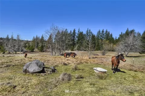 1451 E Anthony Rd, Grapeview, WA 98546 photo 21