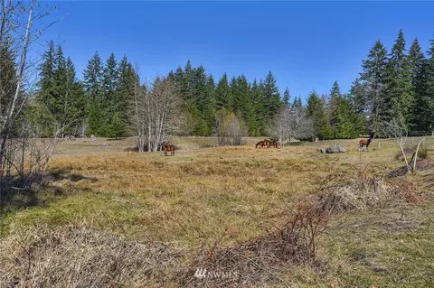1451 E Anthony Rd, Grapeview, WA 98546 photo 20