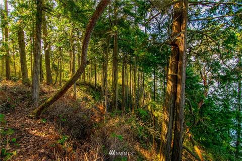 4363 E Sequim Bay Rd, Sequim, WA 98382 photo 14