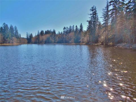 999 Rice Lake Rd, Quilcene, WA 98376