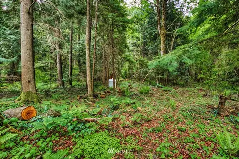 19704 215th St E, Orting, WA 98360 photo 23