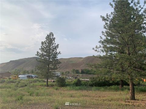 142 Evergreen Loop, Twisp, WA 98856 photo 8