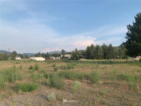 142 Evergreen Loop, Twisp, WA 98856 photo 7