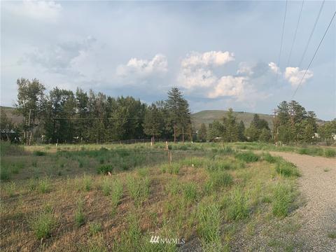 142 Evergreen Loop, Twisp, WA 98856 photo 1