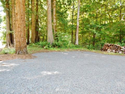 21 Elk Ct, Brinnon, WA 98320 photo 4
