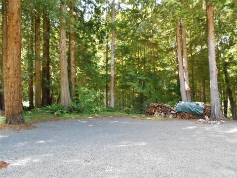 21 Elk Ct, Brinnon, WA 98320 photo 5
