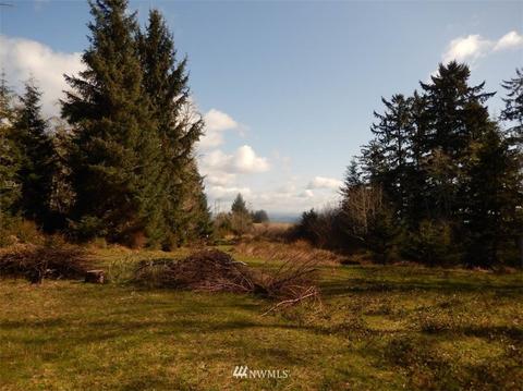 38202 Stackpole Rd, Oysterville, WA 98641 photo 7