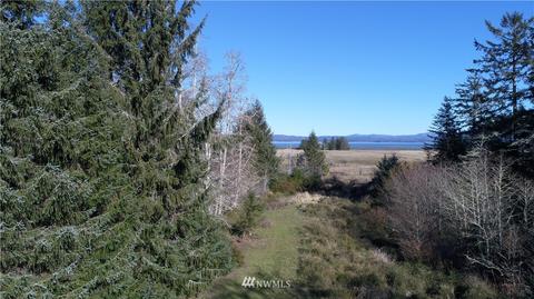 38202 Stackpole Rd, Oysterville, WA 98641 photo 5