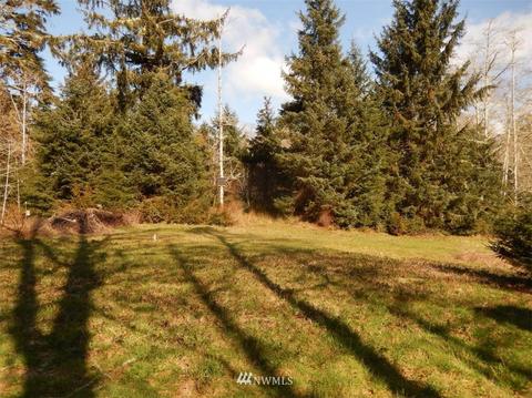 38202 Stackpole Rd, Oysterville, WA 98641 photo 10
