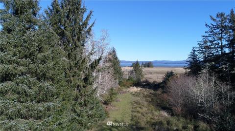 38202 Stackpole Rd, Oysterville, WA 98641 photo 4