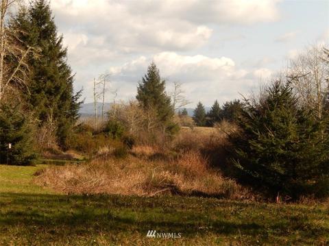 38202 Stackpole Rd, Oysterville, WA 98641 photo 8