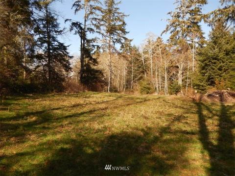 38202 Stackpole Rd, Oysterville, WA 98641 photo 9