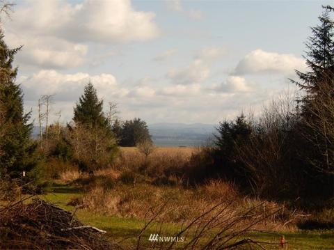 38202 Stackpole Rd, Oysterville, WA 98641 photo 1