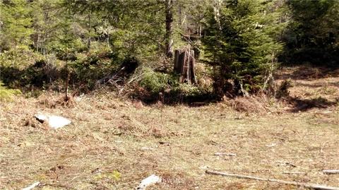 18610 232nd Ave E, Orting, WA 98360 photo 1