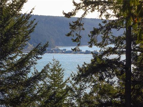 363 Discovery View Dr, Sequim, WA 98382 photo 3