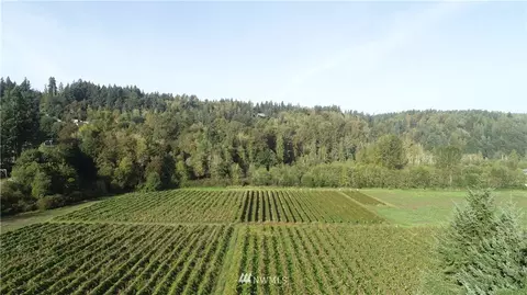 19015 155th Ave E, Orting, WA 98360 photo 20