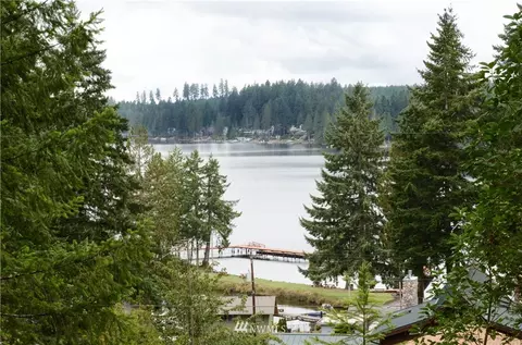 260 E Lakeview Dr, Grapeview, WA 98546 photo 18