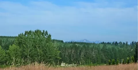 481 E Soderberg Rd, Allyn, WA 98524 photo 5