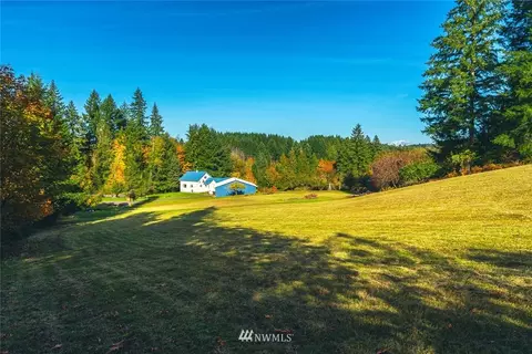 173 Roe Rd, Winlock, WA 98596 photo 13