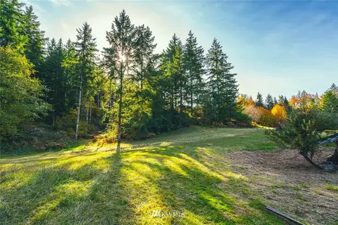 173 Roe Rd, Winlock, WA 98596 photo 20