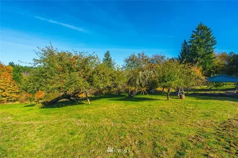173 Roe Rd, Winlock, WA 98596 photo 16