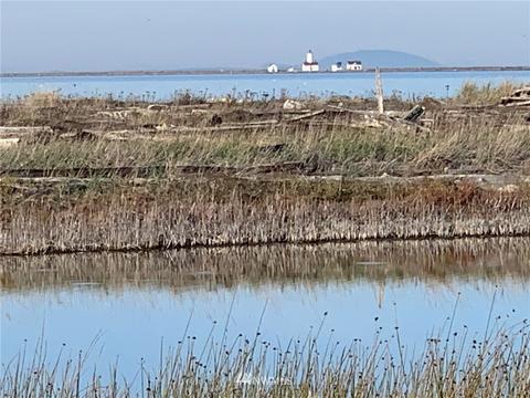191 Three Crabs Rd, Sequim, WA 98382 photo 24