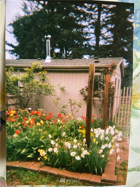 56 Blanchard Rd, Eastsound, WA 98245 photo 3