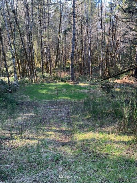 142 E Leffler Loop Rd, Grapeview, WA 98546 photo 3