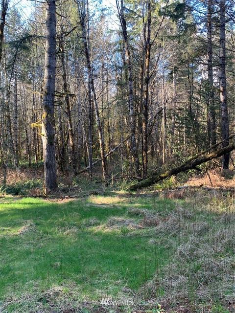 142 E Leffler Loop Rd, Grapeview, WA 98546 photo 5