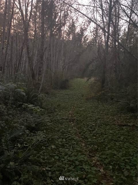 142 E Leffler Loop Rd, Grapeview, WA 98546 photo 7