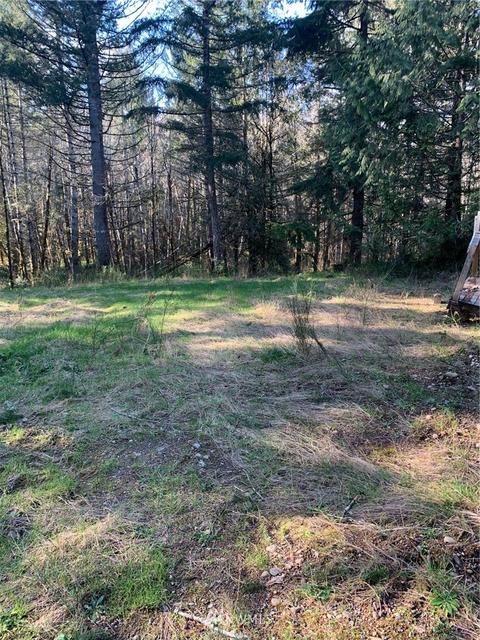 142 E Leffler Loop Rd, Grapeview, WA 98546 photo 2