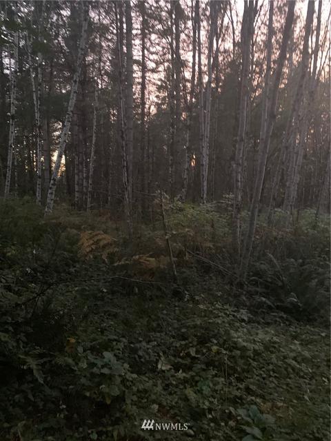 142 E Leffler Loop Rd, Grapeview, WA 98546 photo 6