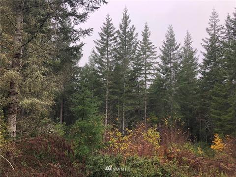 920 E Soderberg Rd, Allyn, WA 98524 photo 1