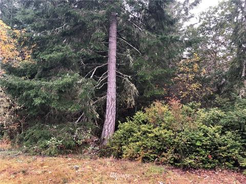 920 E Soderberg Rd, Allyn, WA 98524 photo 2