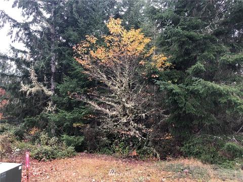 920 E Soderberg Rd, Allyn, WA 98524 photo 3
