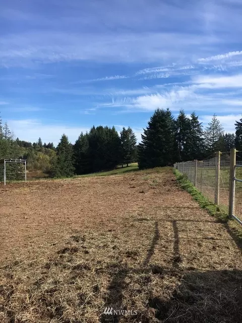 896 King Rd, Winlock, WA 98596 photo 26